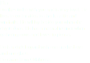 Dio Dio likes to be with you and is very loyal. He likes to go for rides to check cattle and windmills. He will lay beside you when the day is done. He has a natural instinct when gathering cows and loves to please.  He is a dark leopard with one cracked eye and one glass. He came from Oklahoma.